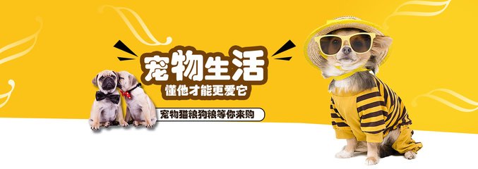 7777888888精准管家婆网